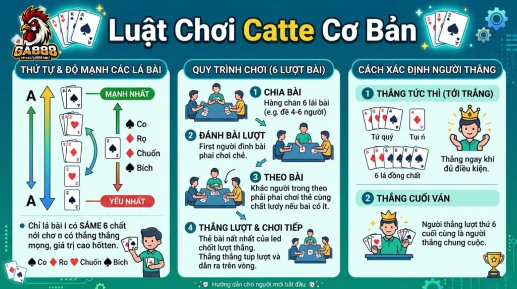 Luật Chơi Catte Cơ Bản