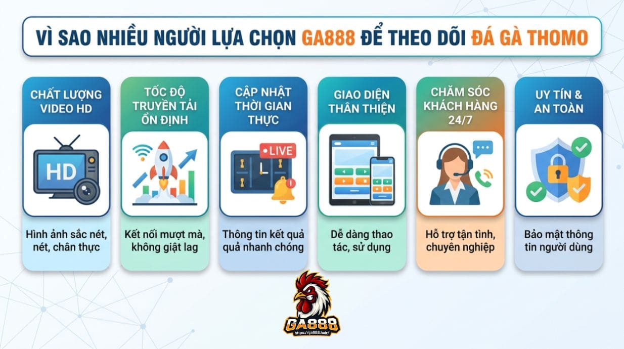 Vì Sao Nhiều Người Lựa Chọn GA888 Để Theo Dõi Đá Gà Thomo